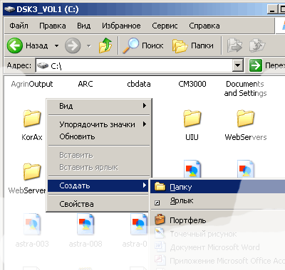 Мой компьютер - Диск С: - Правая кнопка мыши - Создать Папку